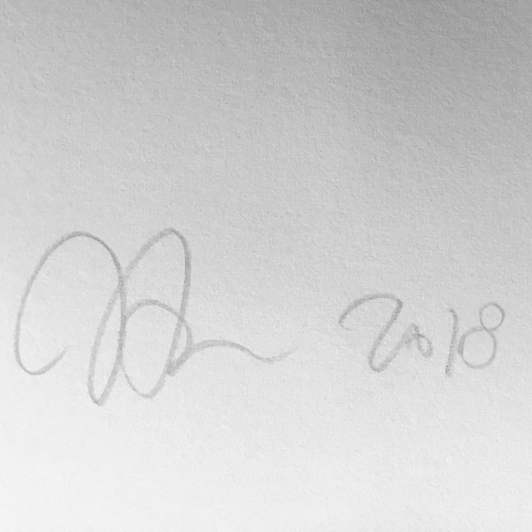 signature-john-armleder-print-them-all-no-stain-no-gain-mamco-geneve-christmas-edition signature-john-armleder-print-them-all-no-stain-no-gain-mamco-geneve-christmas-edition