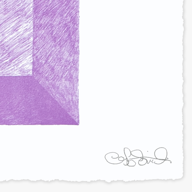 landscape-growth-panel-lavender-greg-parma-smith-jrp-editions-mamco-lithograph-signature-artist