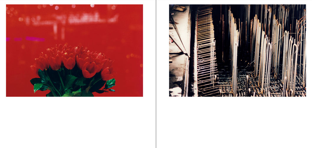 BS_978-3-03764-236-8_01