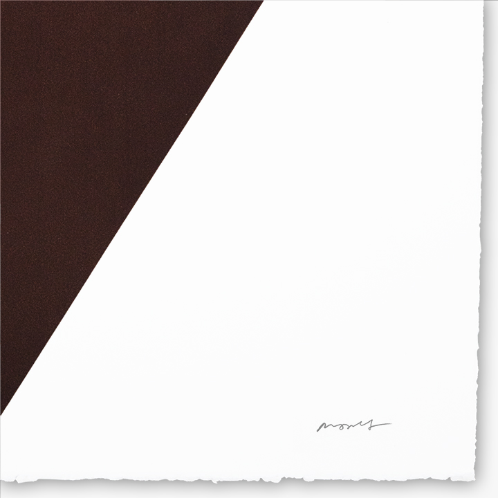 Diamond Brown #2781016 3 Diamond Brown #2781016