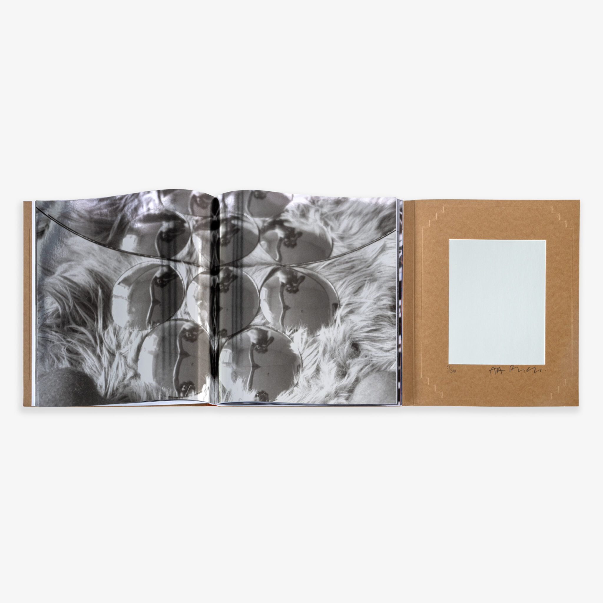 JRP - AA - BRONSON - BOOK - 8