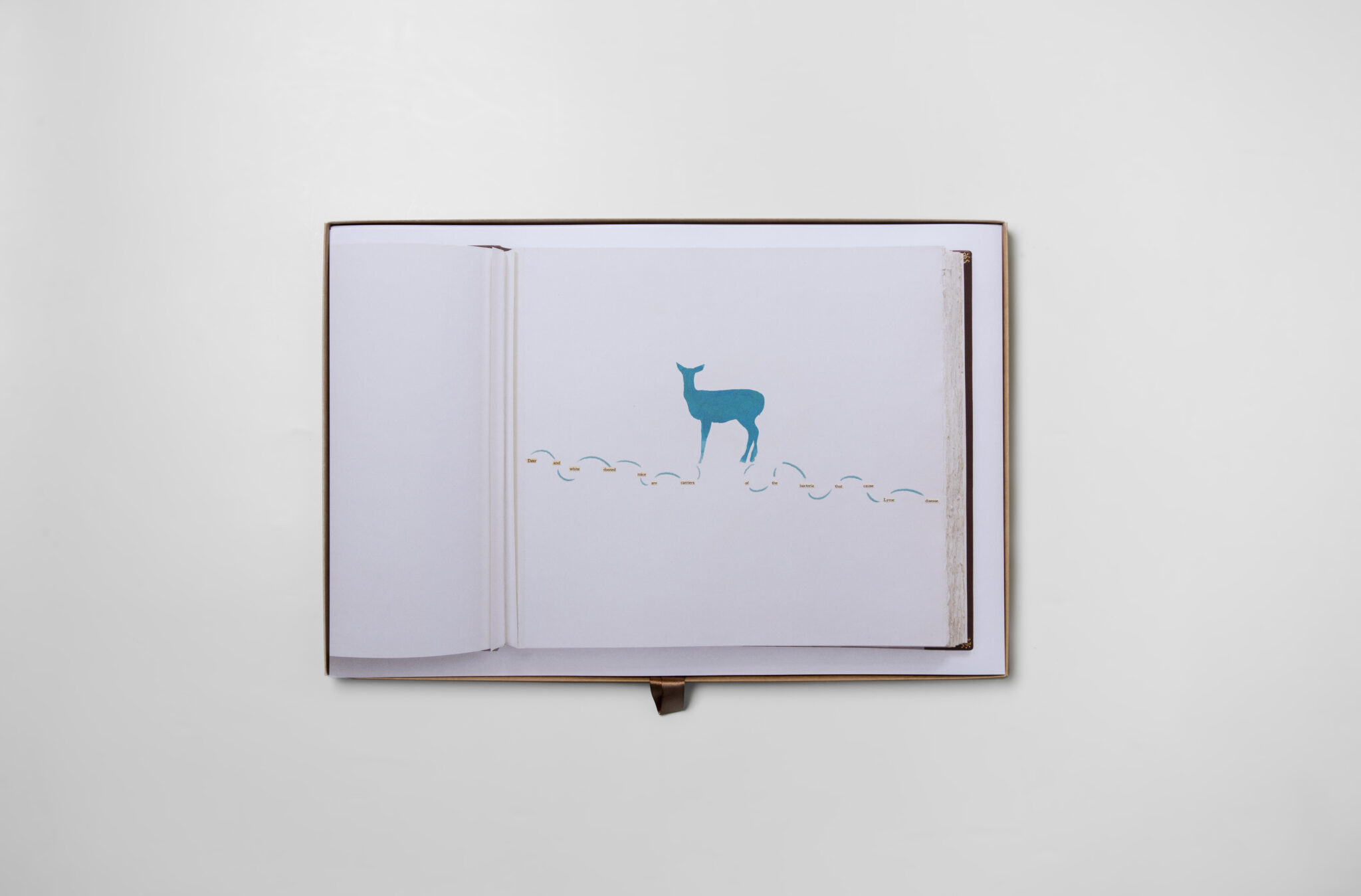 JRP_Annual-Report_Walid-Raad-15