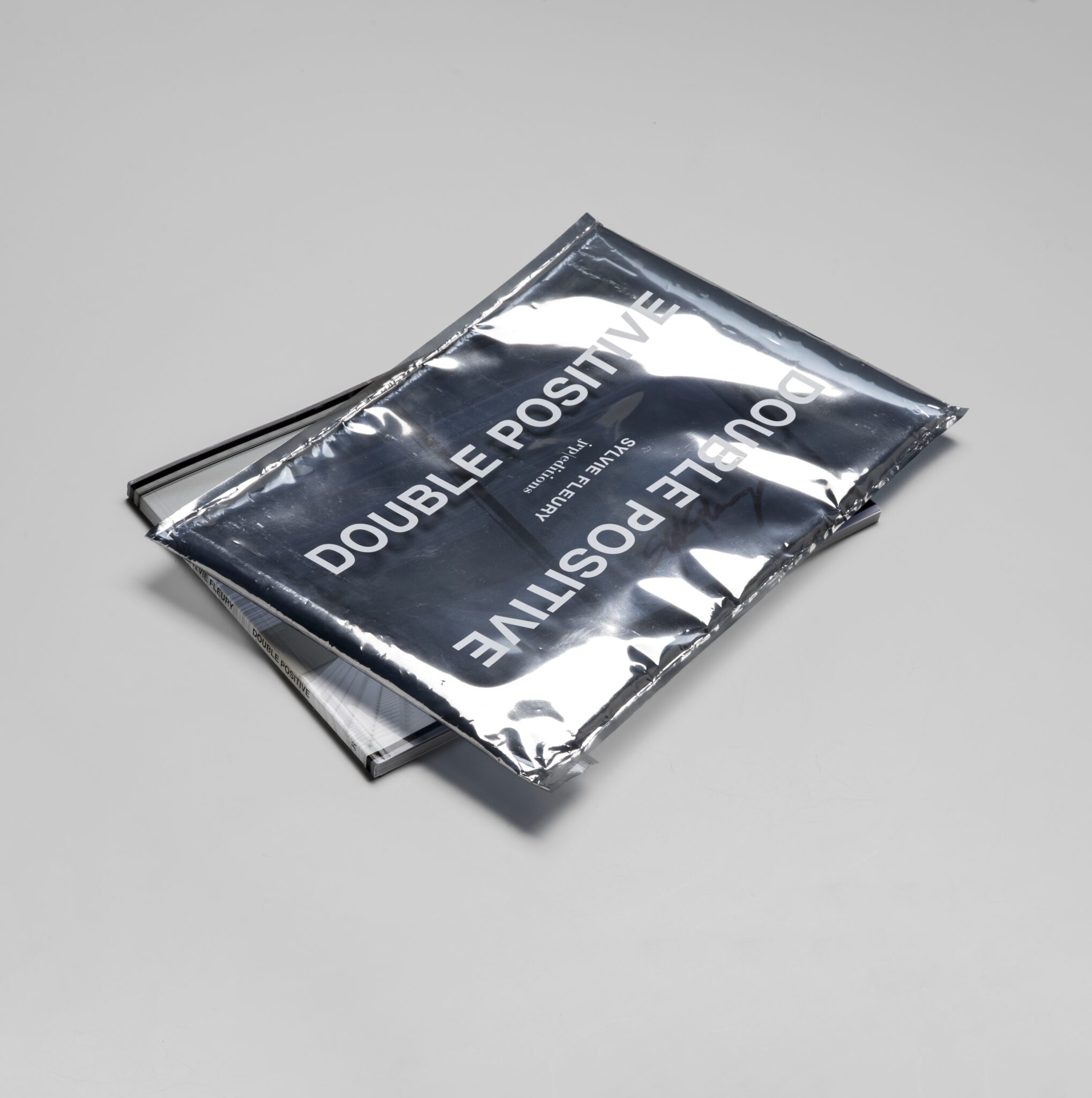 JRP_Double-positive_Sylvie-Fleury-01