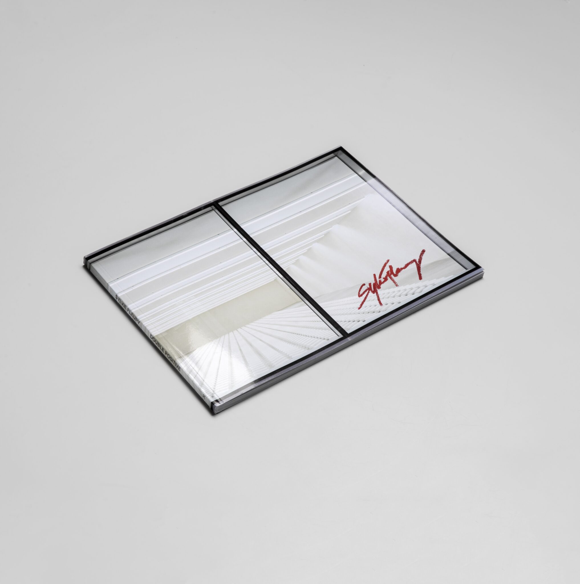 JRP_Double-positive_Sylvie-Fleury-02