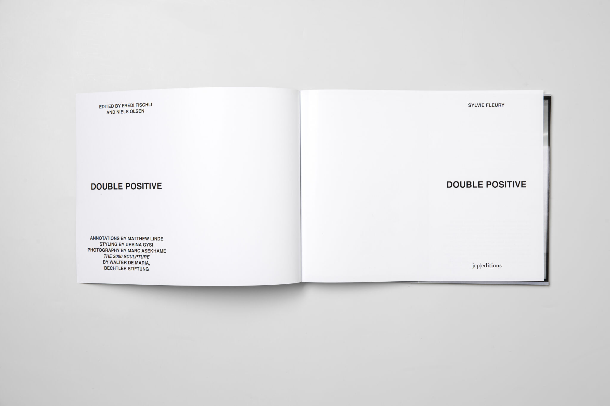 JRP_Double-positive_Sylvie-Fleury-09