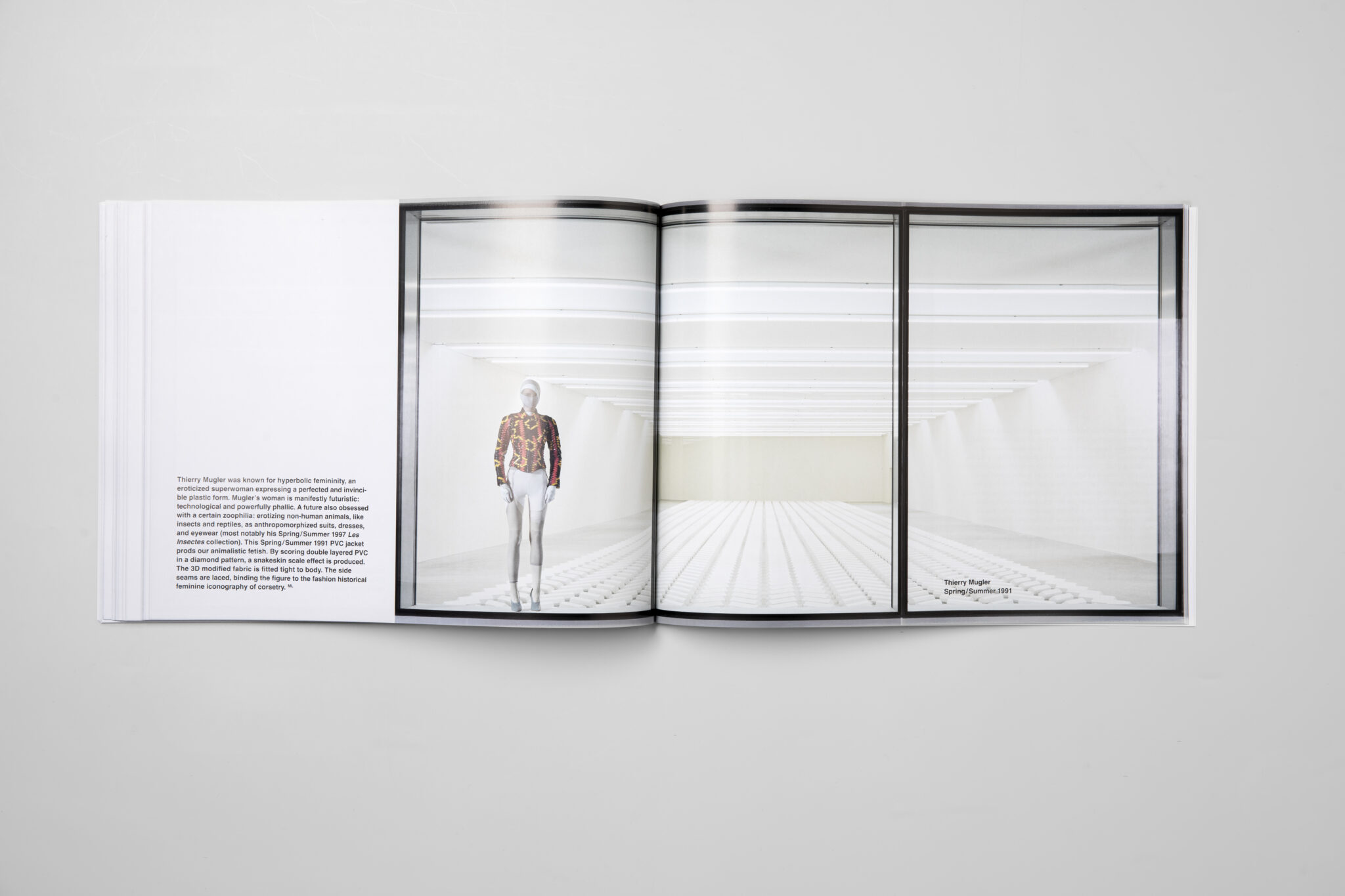 JRP_Double-positive_Sylvie-Fleury-15