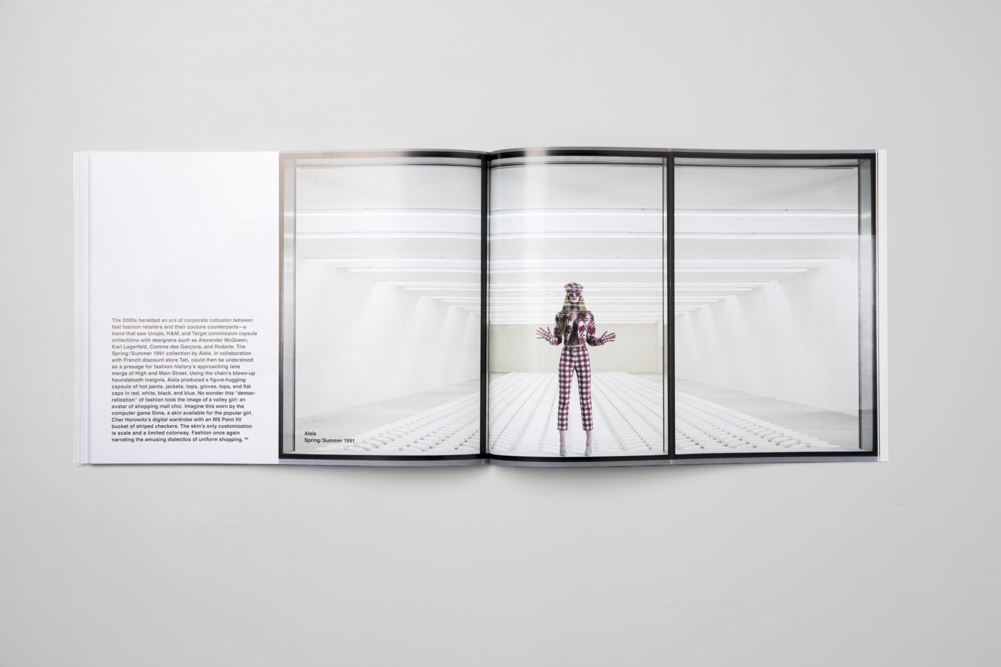 JRP_Double-positive_Sylvie-Fleury-16