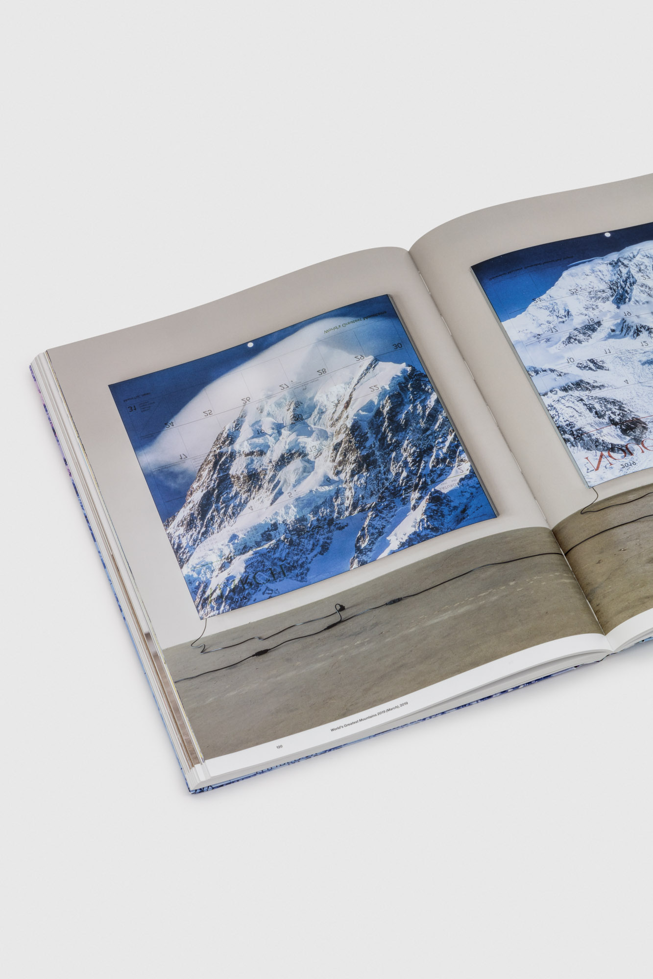 Photo-Charles_White-jwpictures.com-0X9A6988