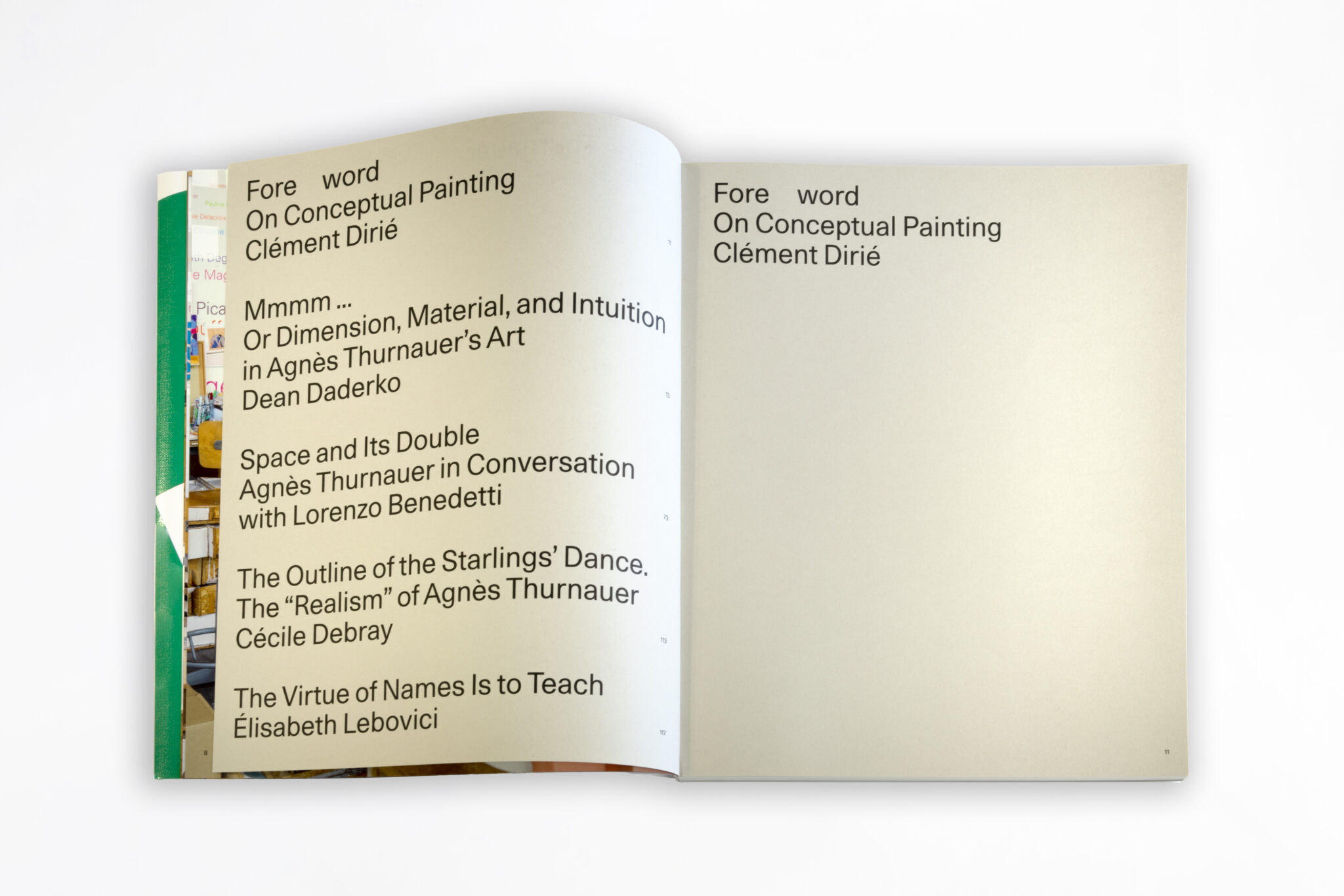 agnes-thurnauer-book-pages-1