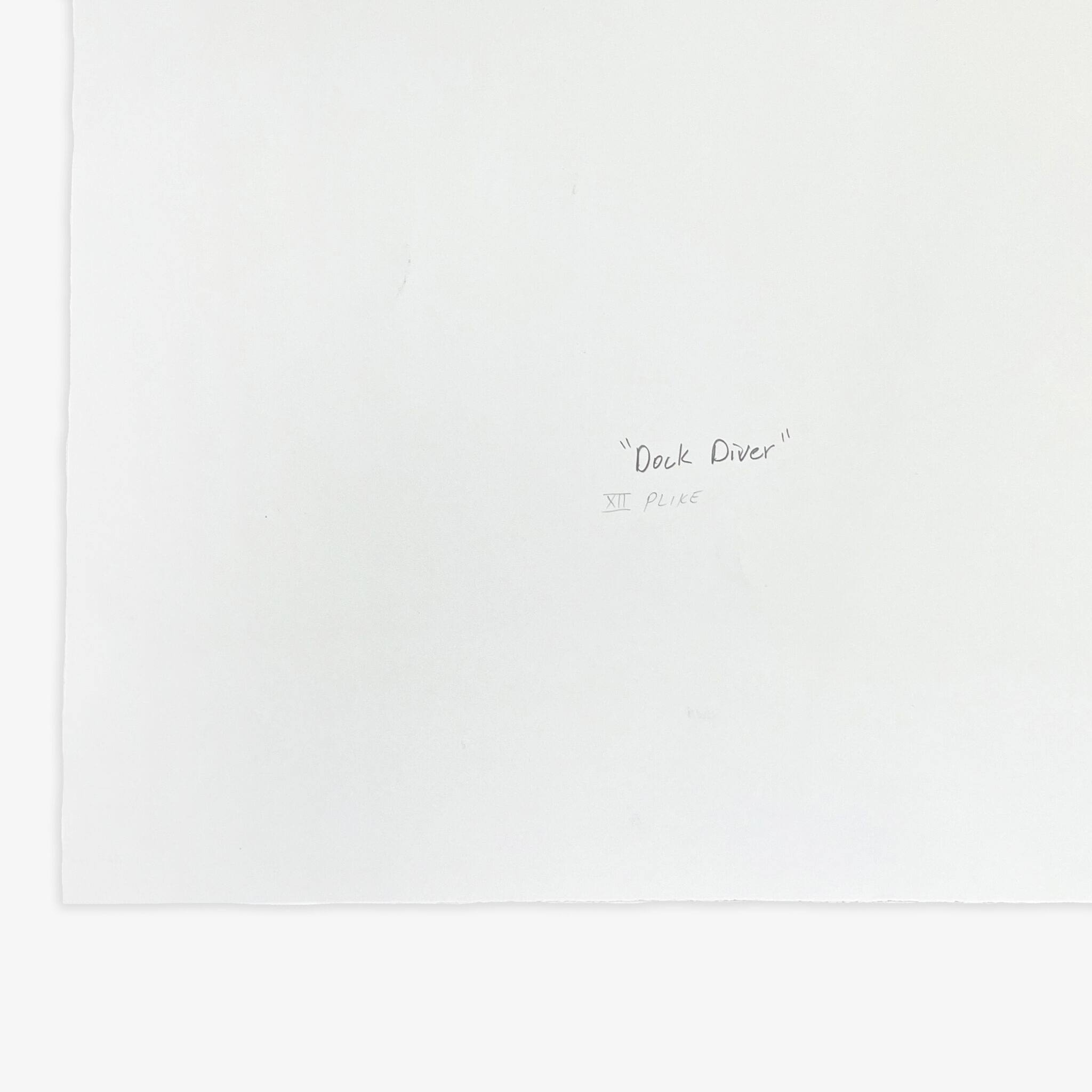 JRP - BRADFORD - DOCK - DIVER - XII - BACK - SCAN