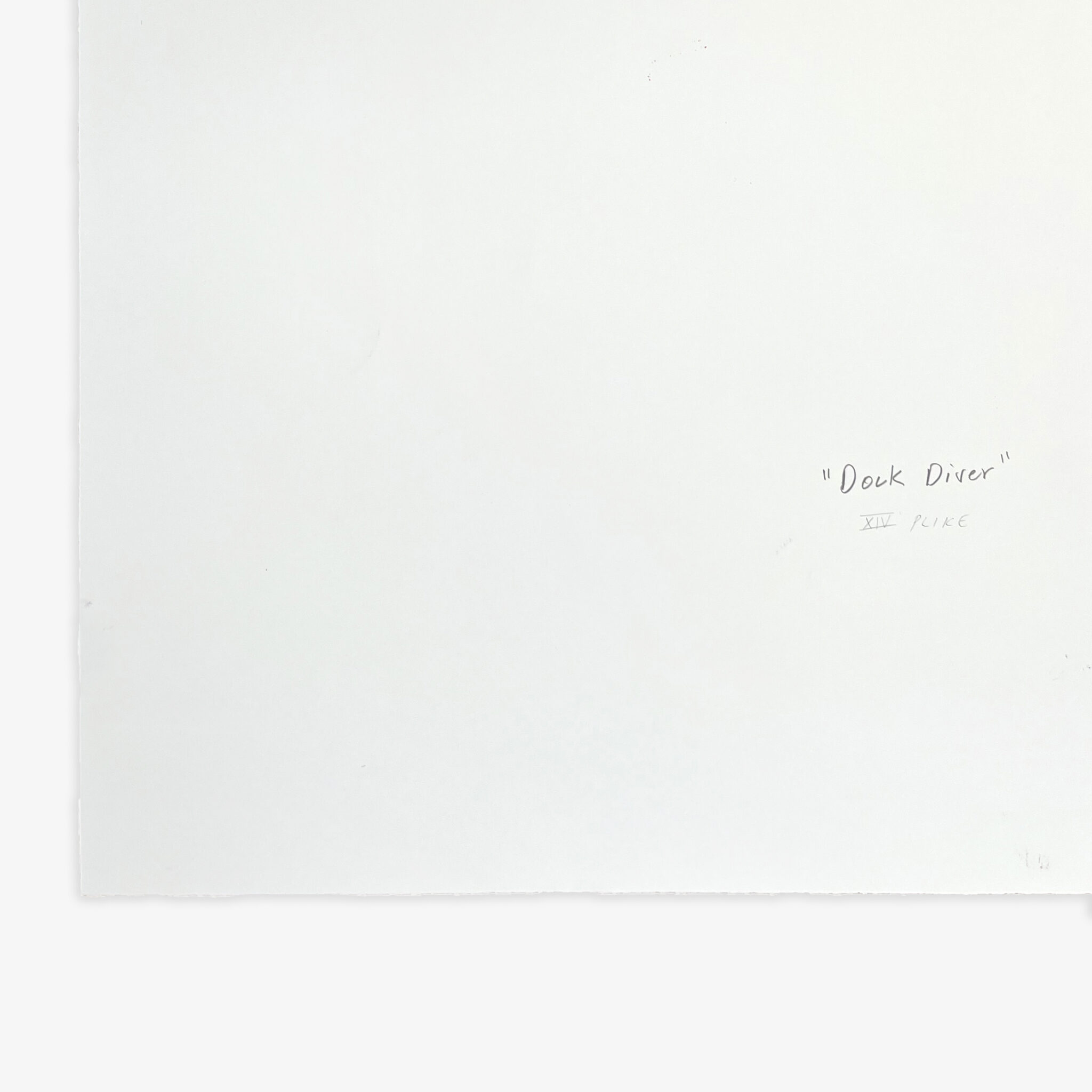 JRP - BRADFORD - DOCK - DIVER - XIV - BACK - SCAN