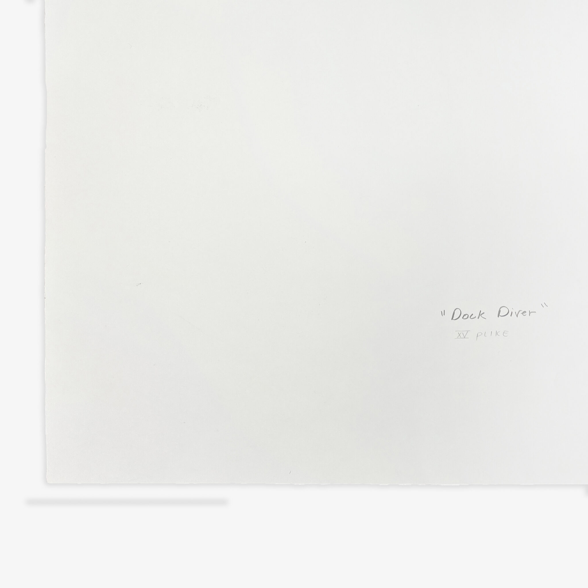 JRP - BRADFORD - DOCK - DIVER - XV - BACK - SCAN