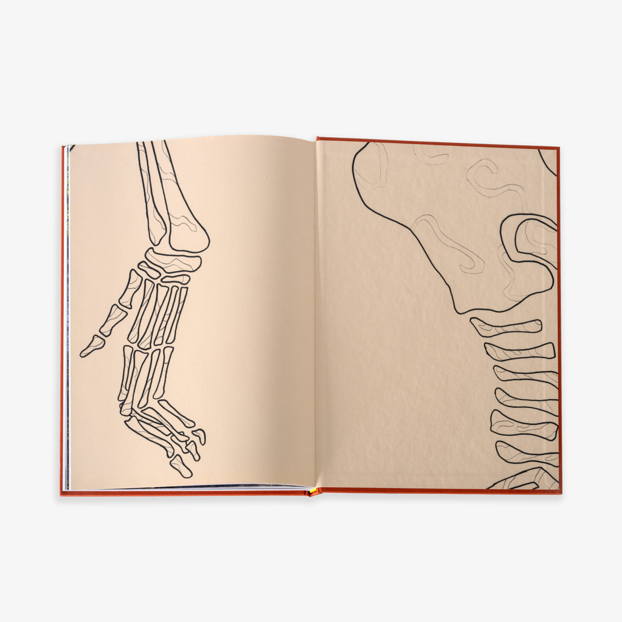 JRP - GINA - PROENZA - BOOK - 10