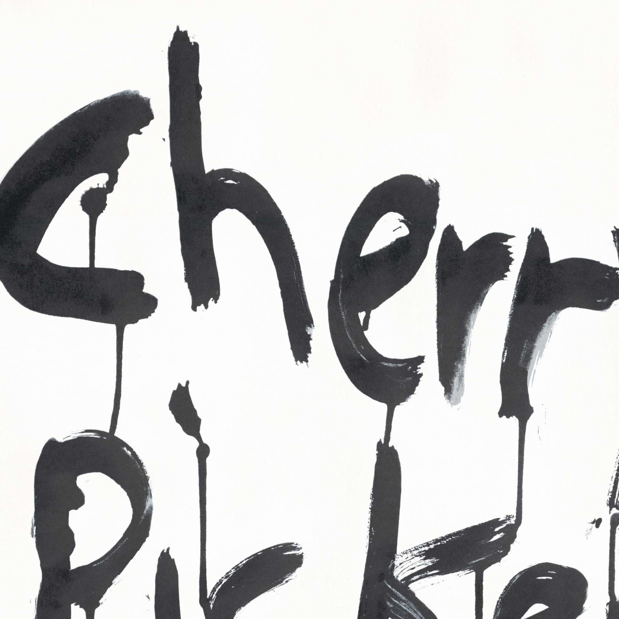 JRP - KIM- GORDON - CHERRY - PICKER - DETAIL1