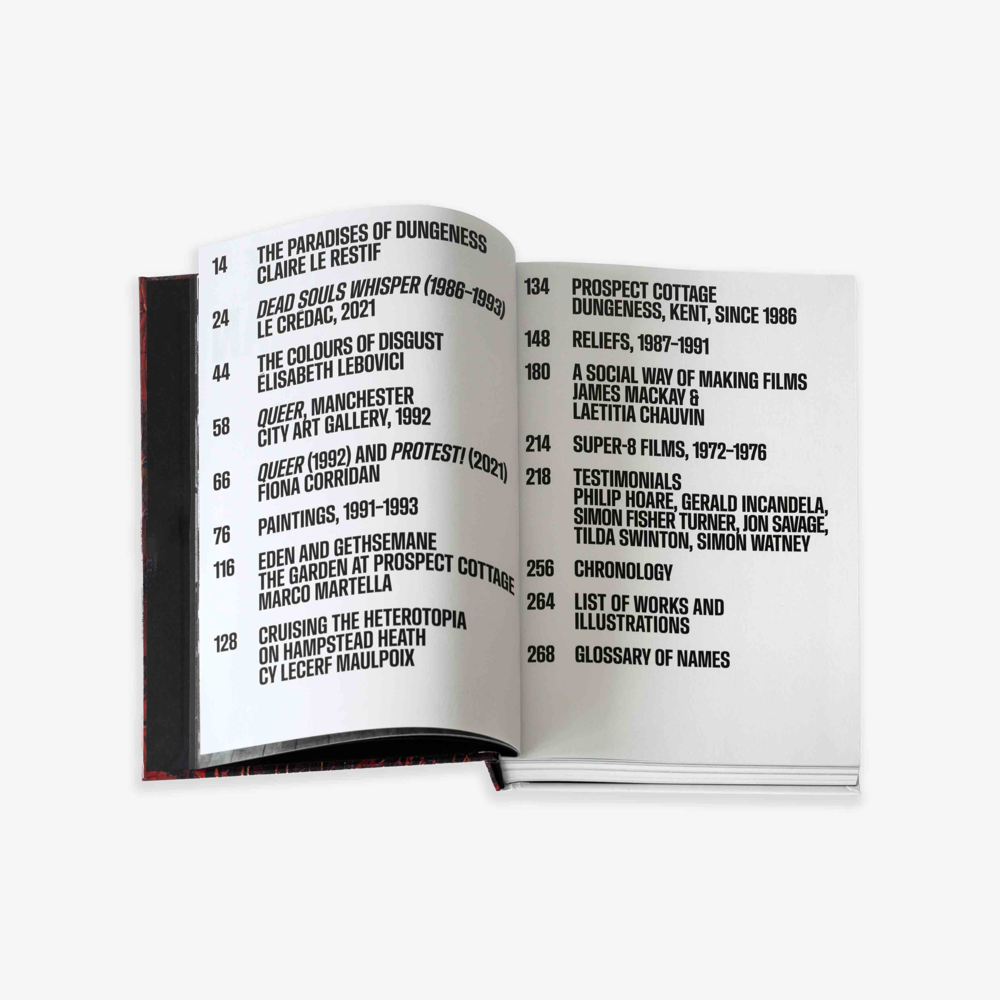 JRP - EDITION - BOOK - DEREK - JARMAN - 2