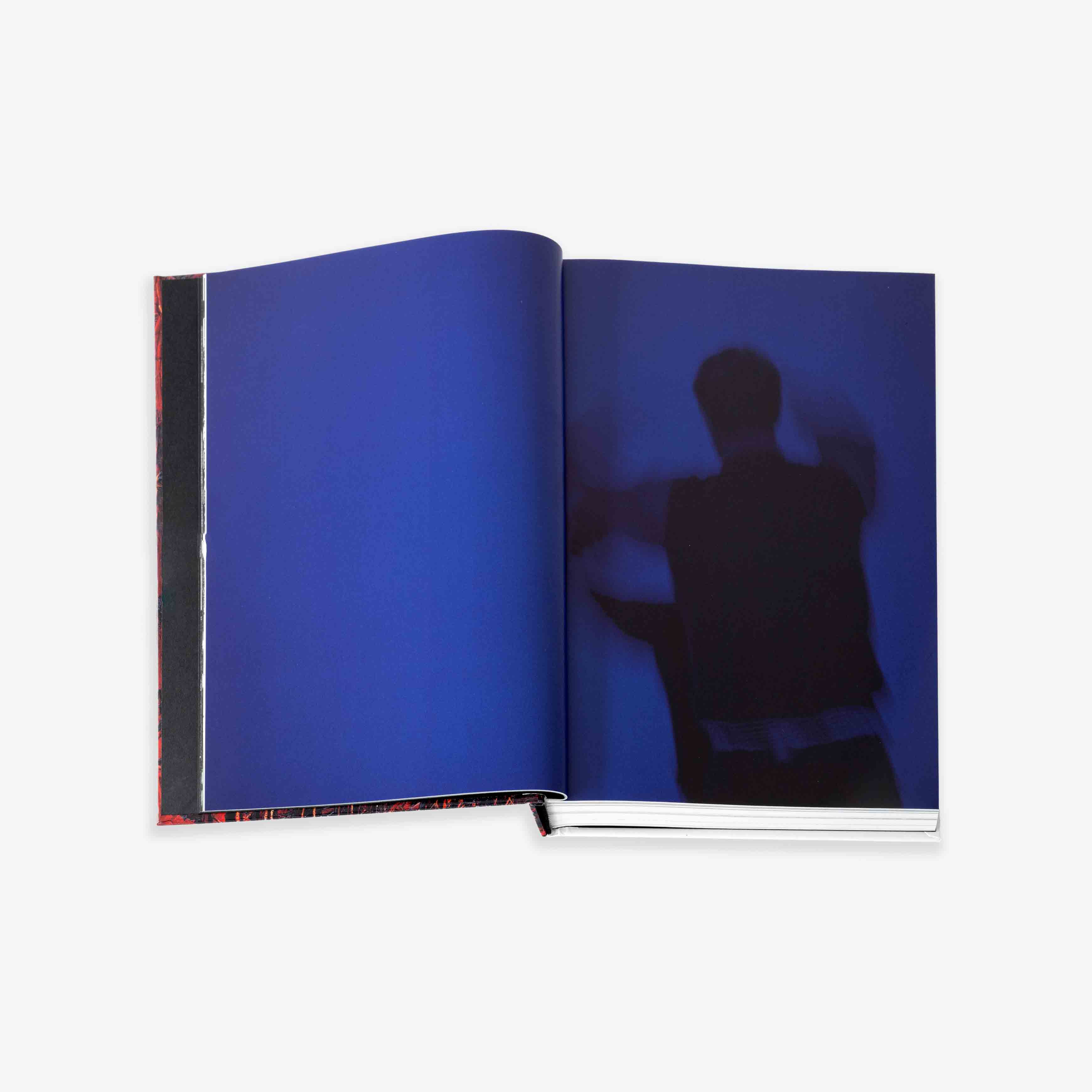 JRP - EDITION - BOOK - DEREK - JARMAN - 3