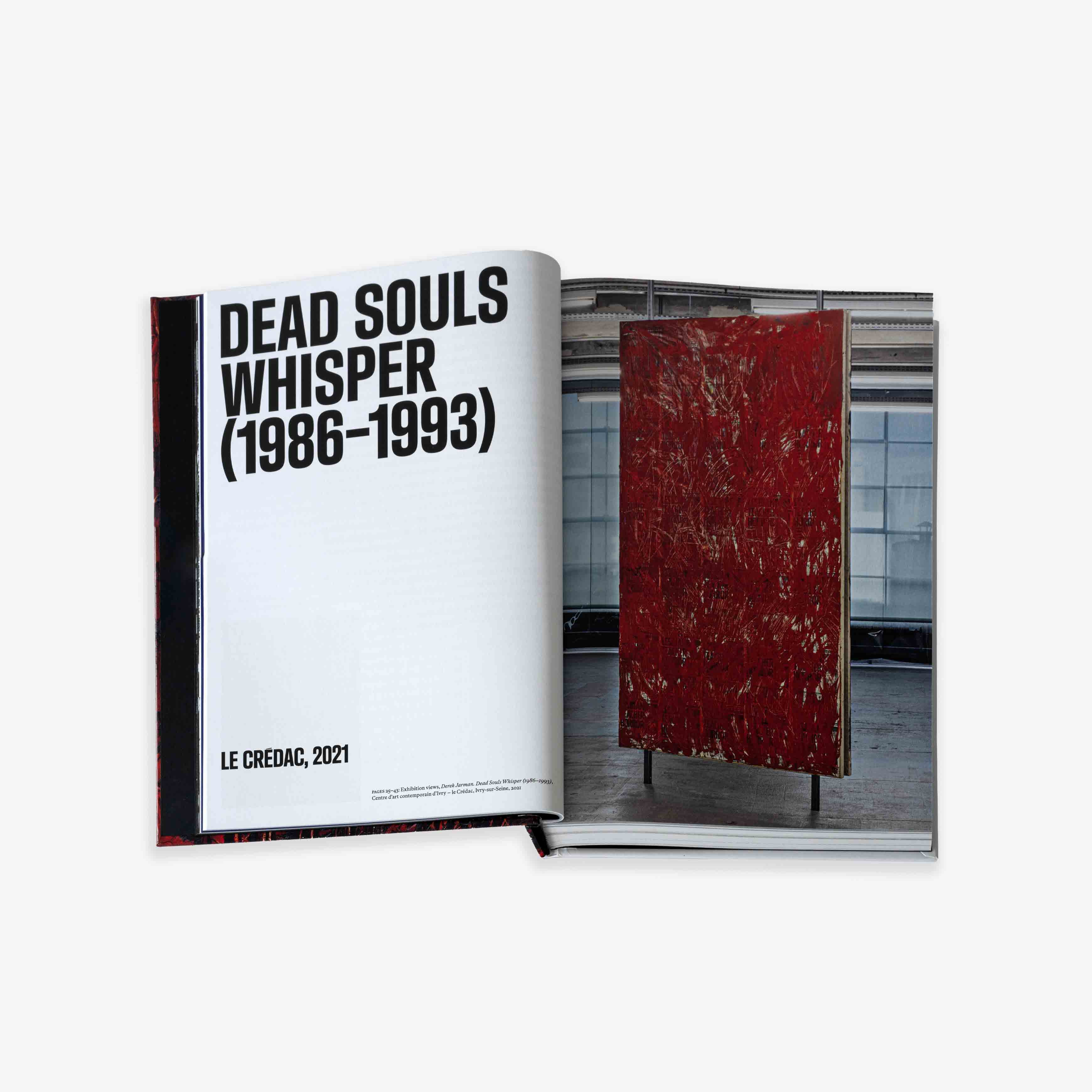 JRP - EDITION - BOOK - DEREK - JARMAN - 4