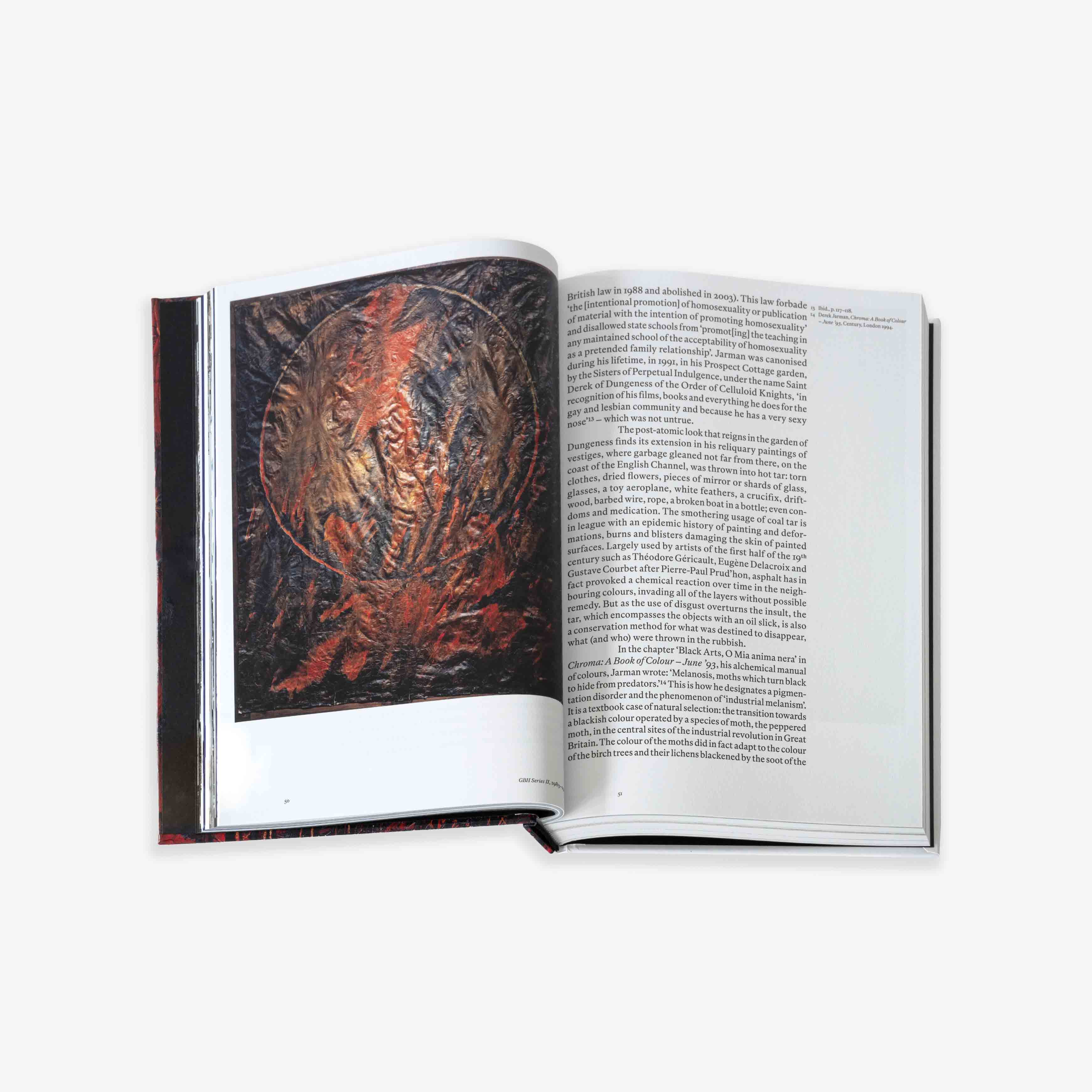 JRP - EDITION - BOOK - DEREK - JARMAN - 5