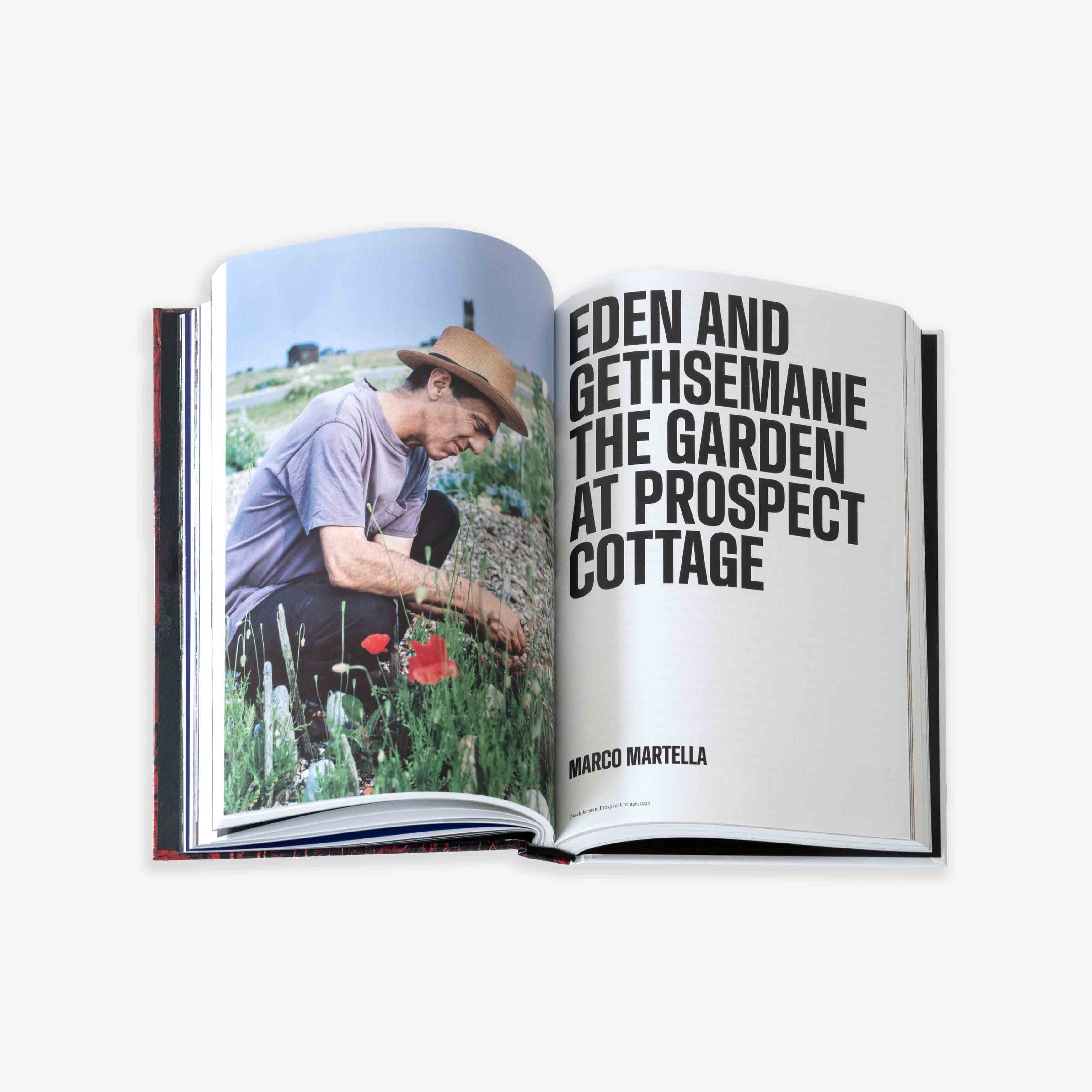 JRP - EDITION - BOOK - DEREK - JARMAN - 8