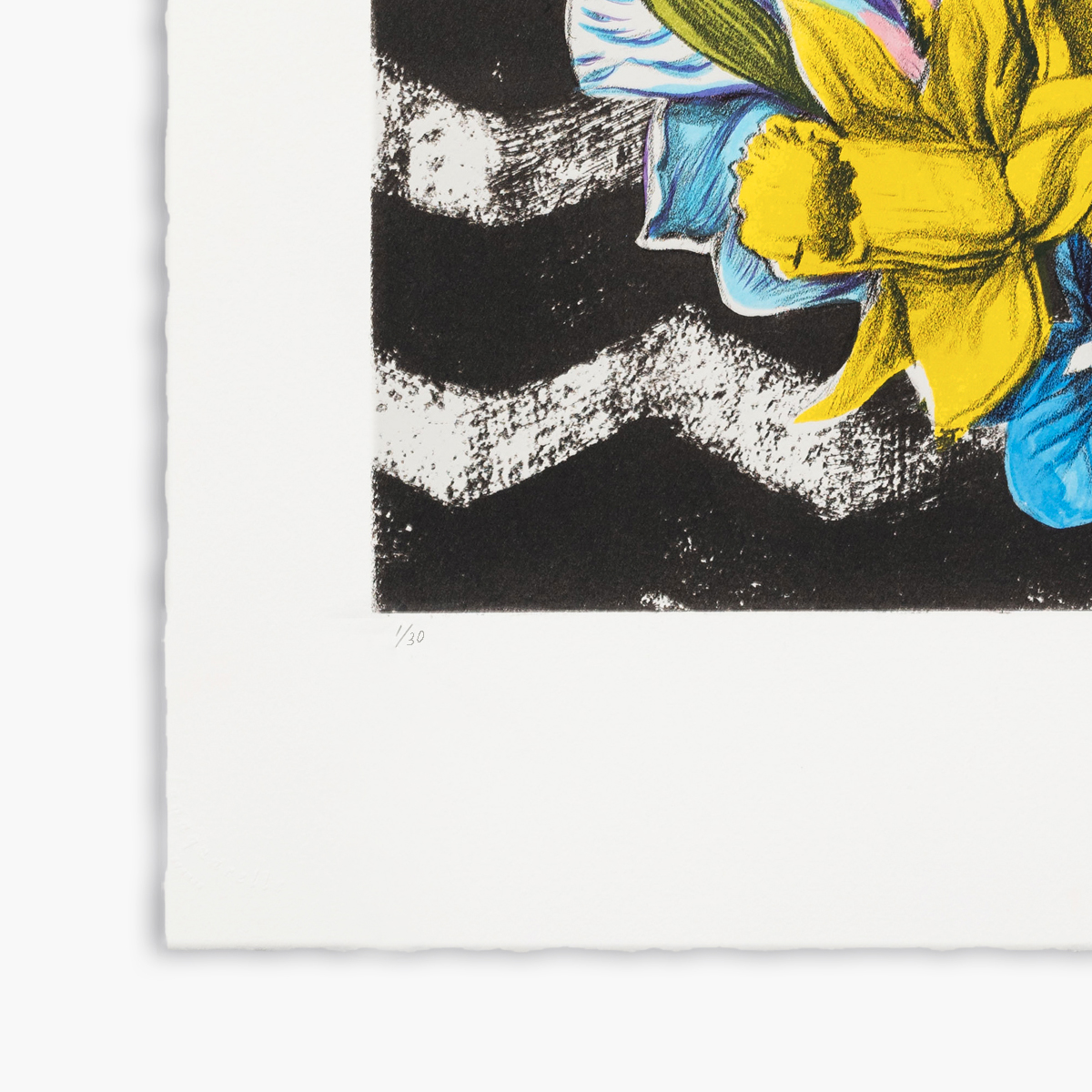 JRP - GIBSON - LITHO - BOUTONNIERE - EDITION - SCAN