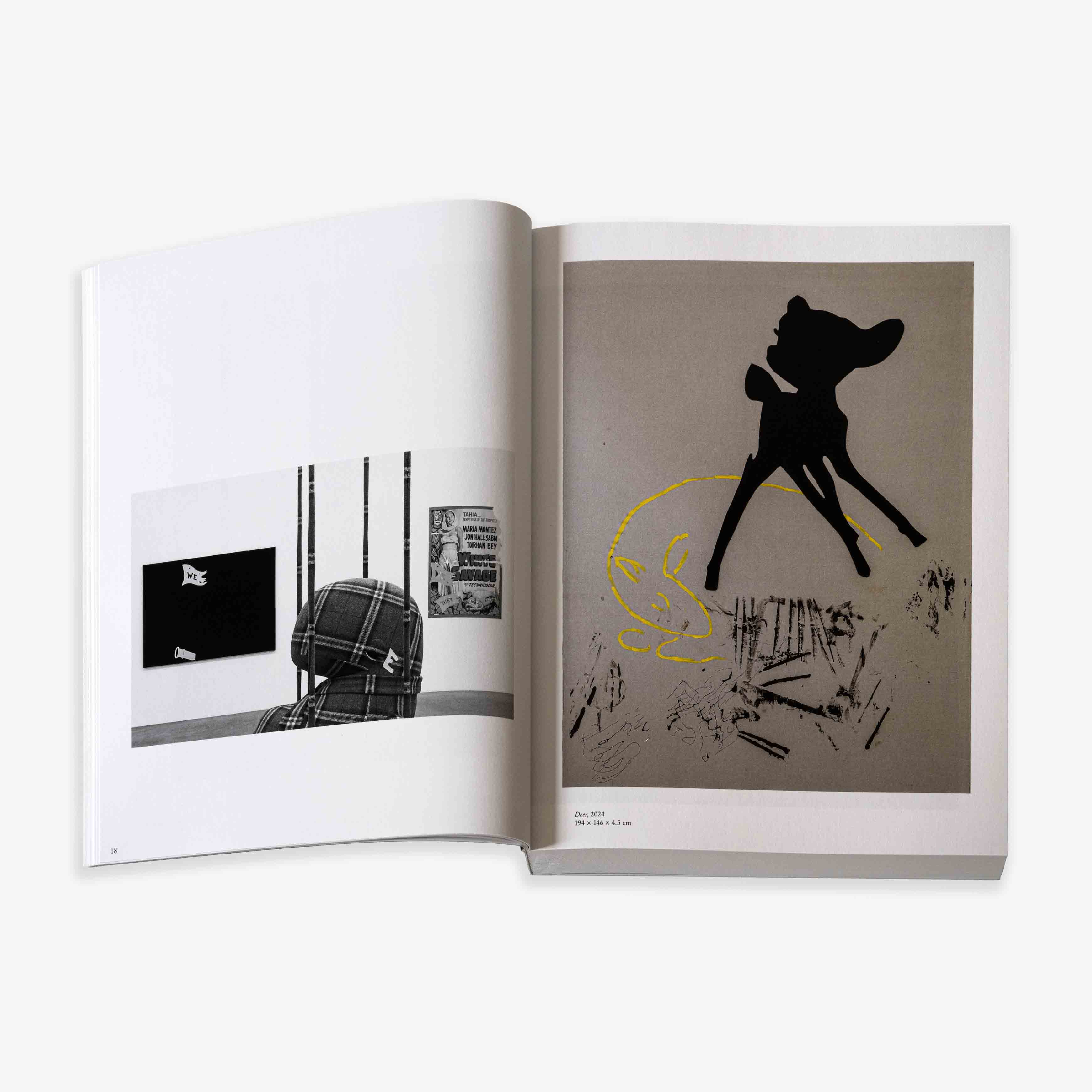 JRP - EDITION - BOOK - COSIMA - VON - BONIN - 2