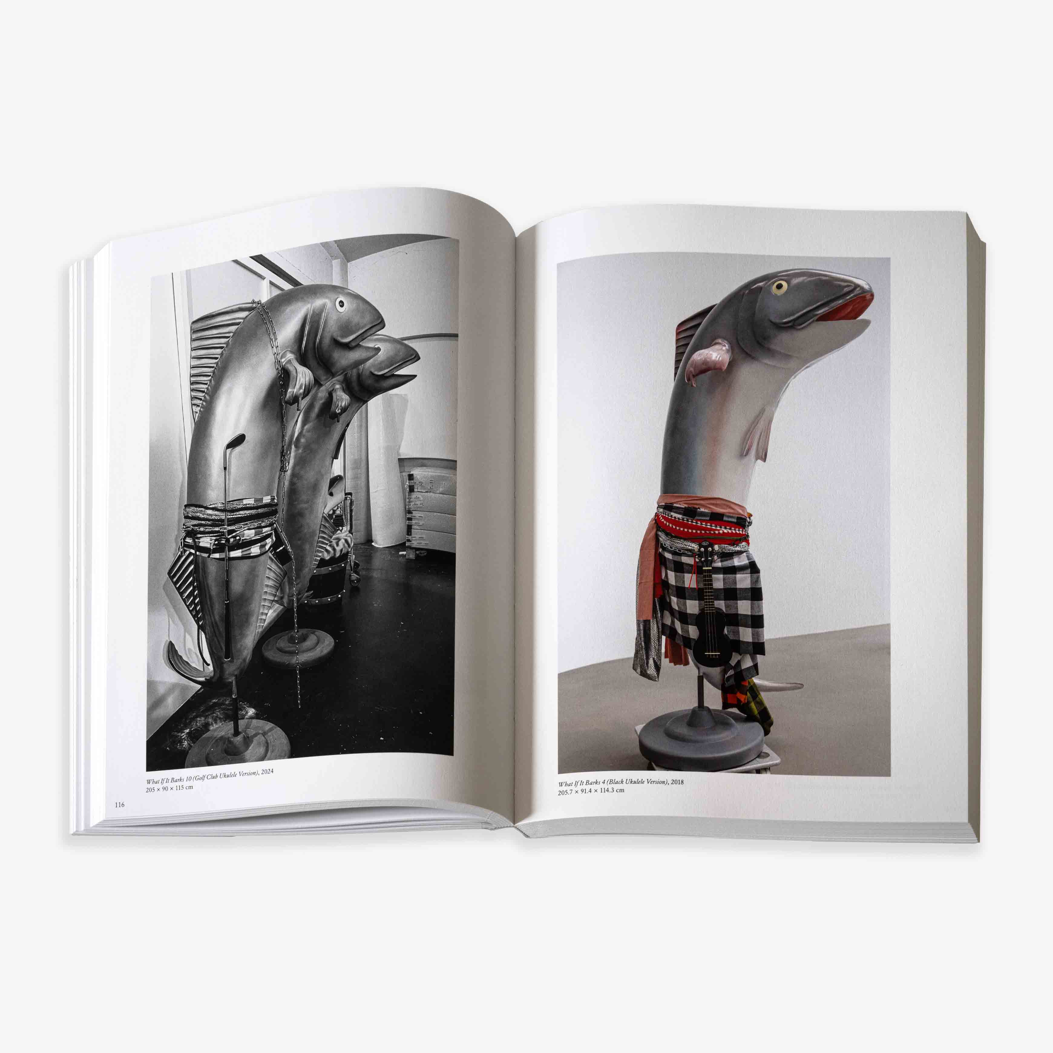 JRP - EDITION - BOOK - COSIMA - VON - BONIN - 5