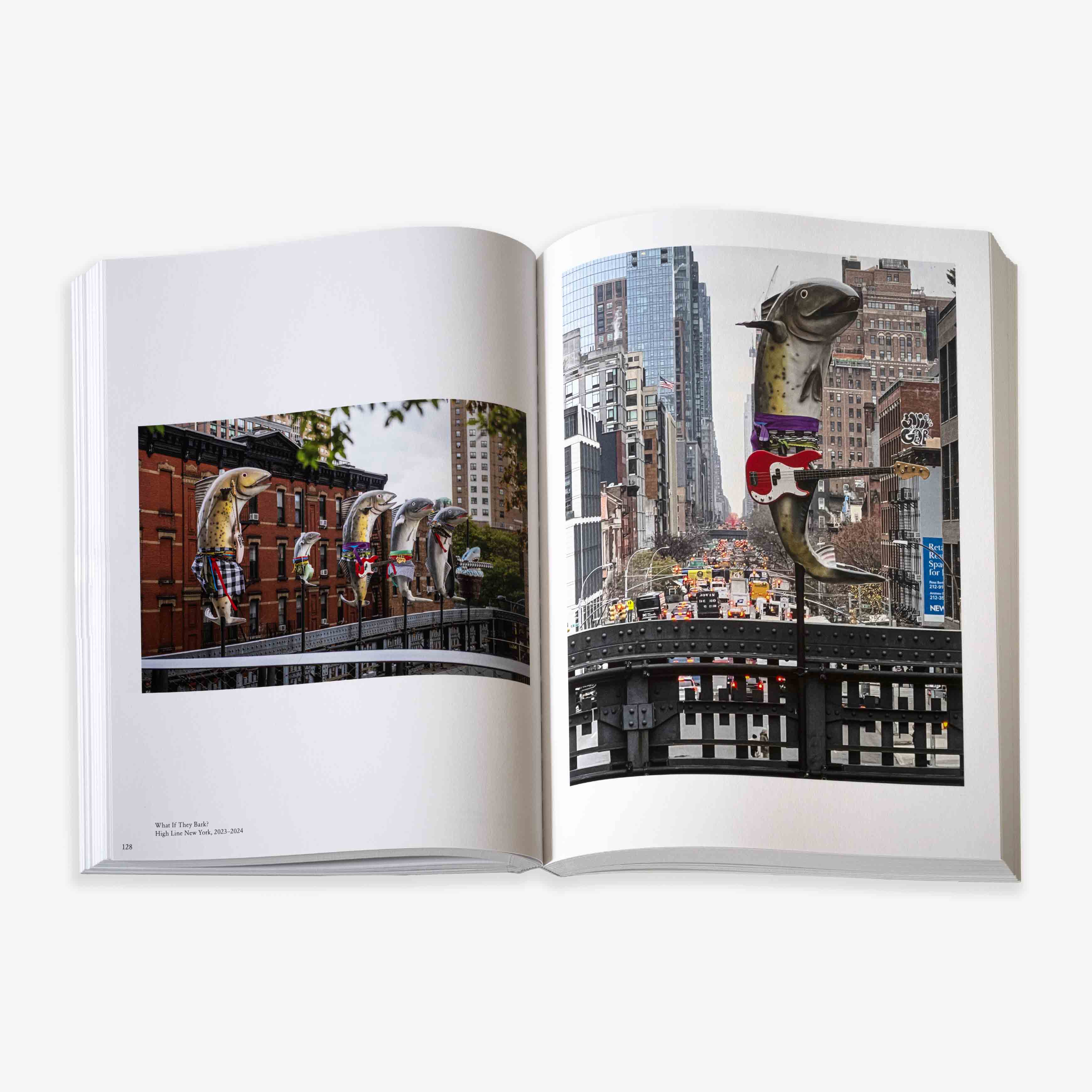 JRP - EDITION - BOOK - COSIMA - VON - BONIN - 6