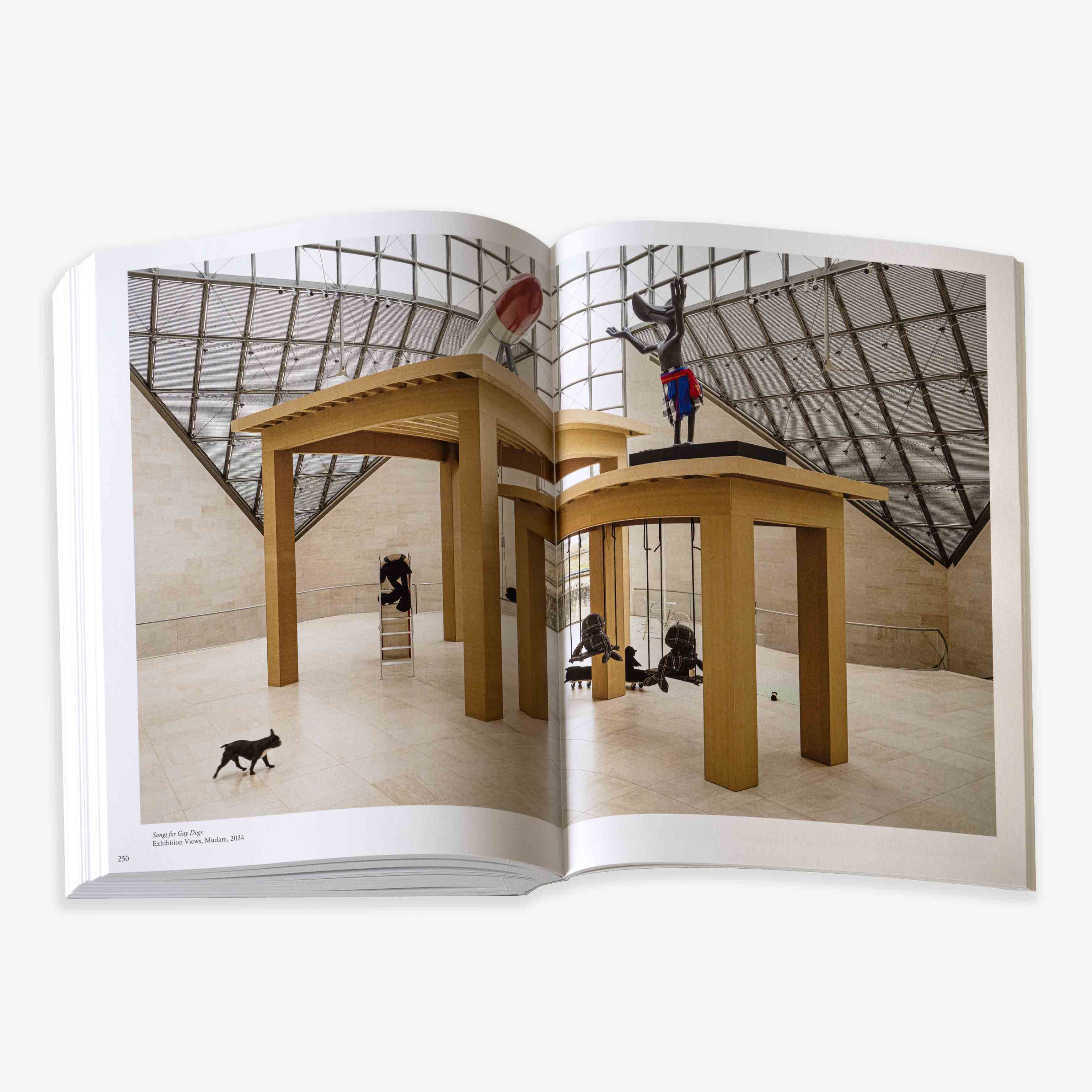 JRP - EDITION - BOOK - COSIMA - VON - BONIN - 9