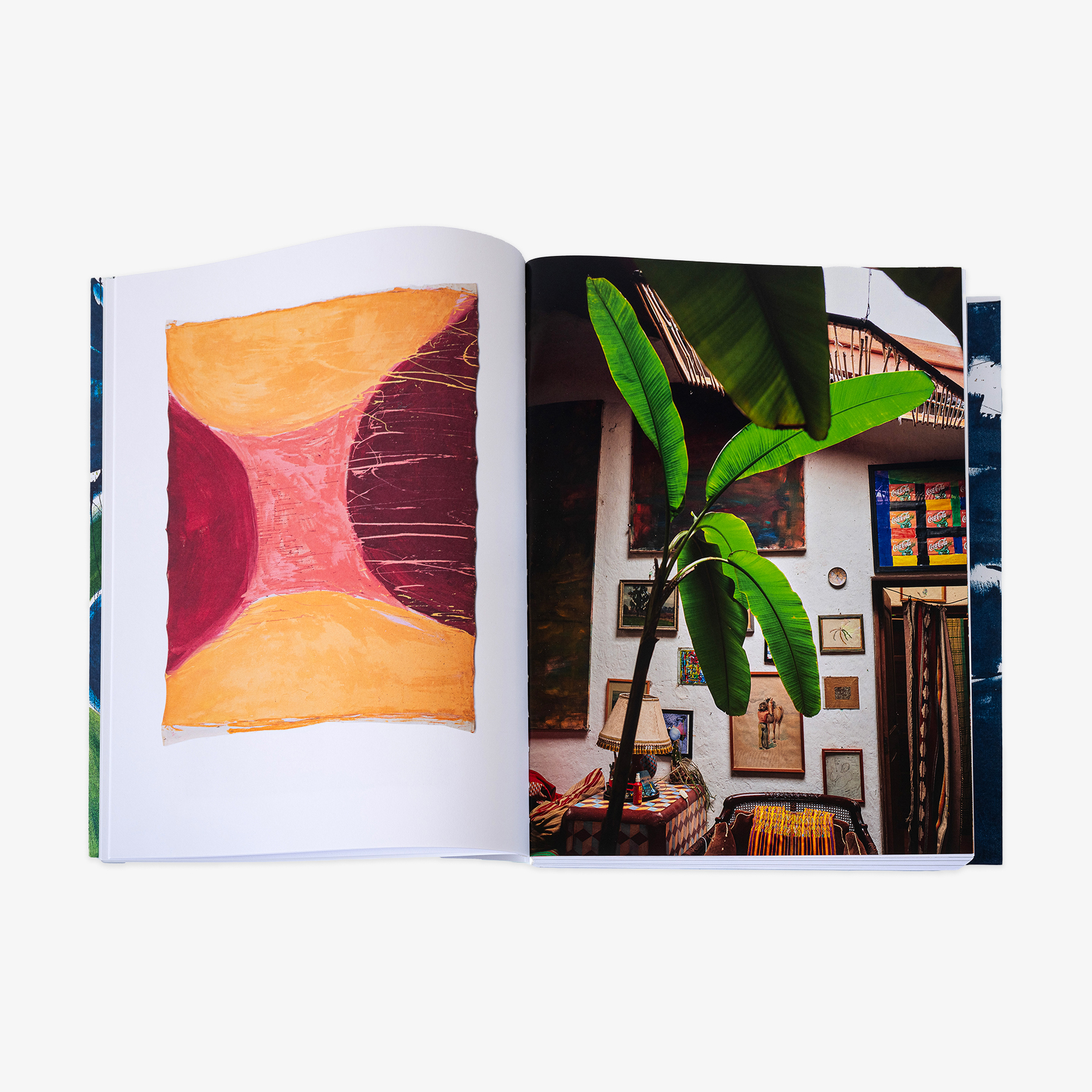 JRP - VIVIAN_SUTER_BOOK_2