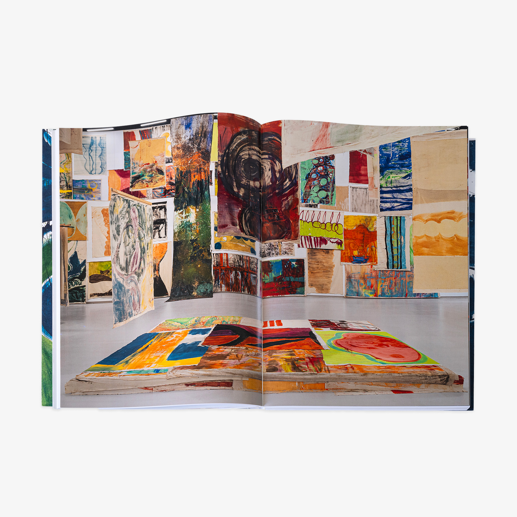 JRP - VIVIAN_SUTER_BOOK_4