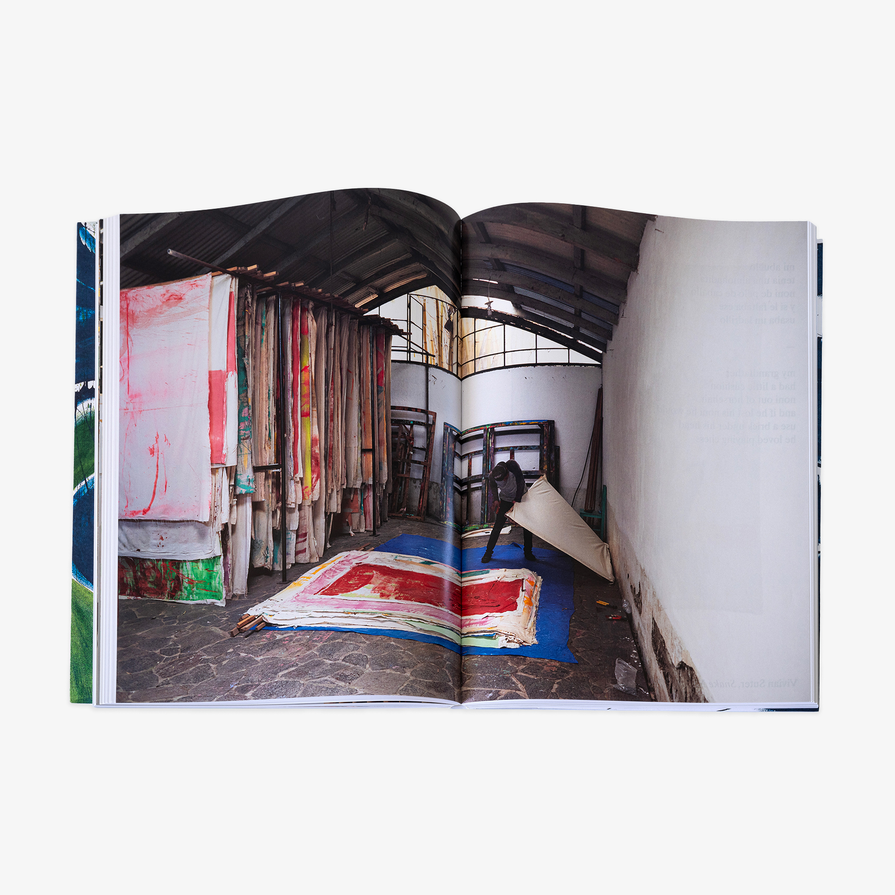 JRP - VIVIAN_SUTER_BOOK_5