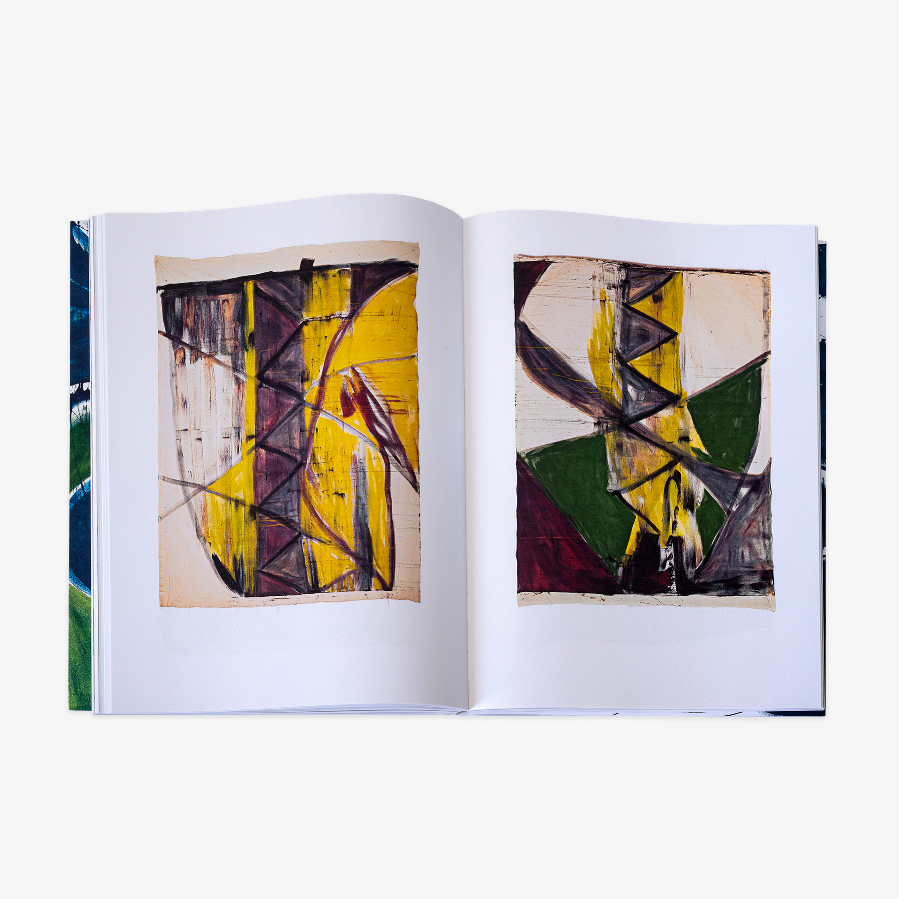 JRP - VIVIAN_SUTER_BOOK_7