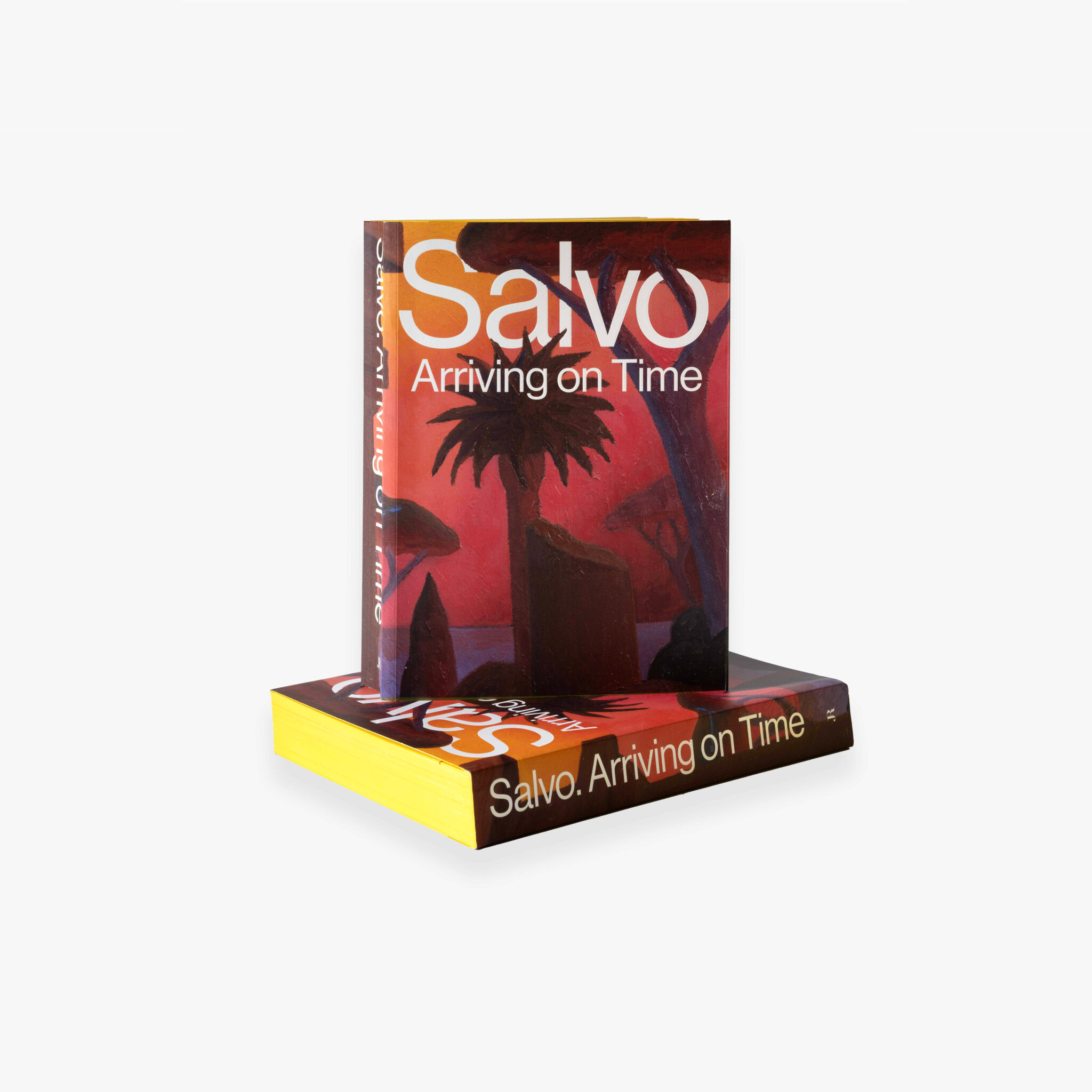 JRP_SALVO_BOOK_STAND