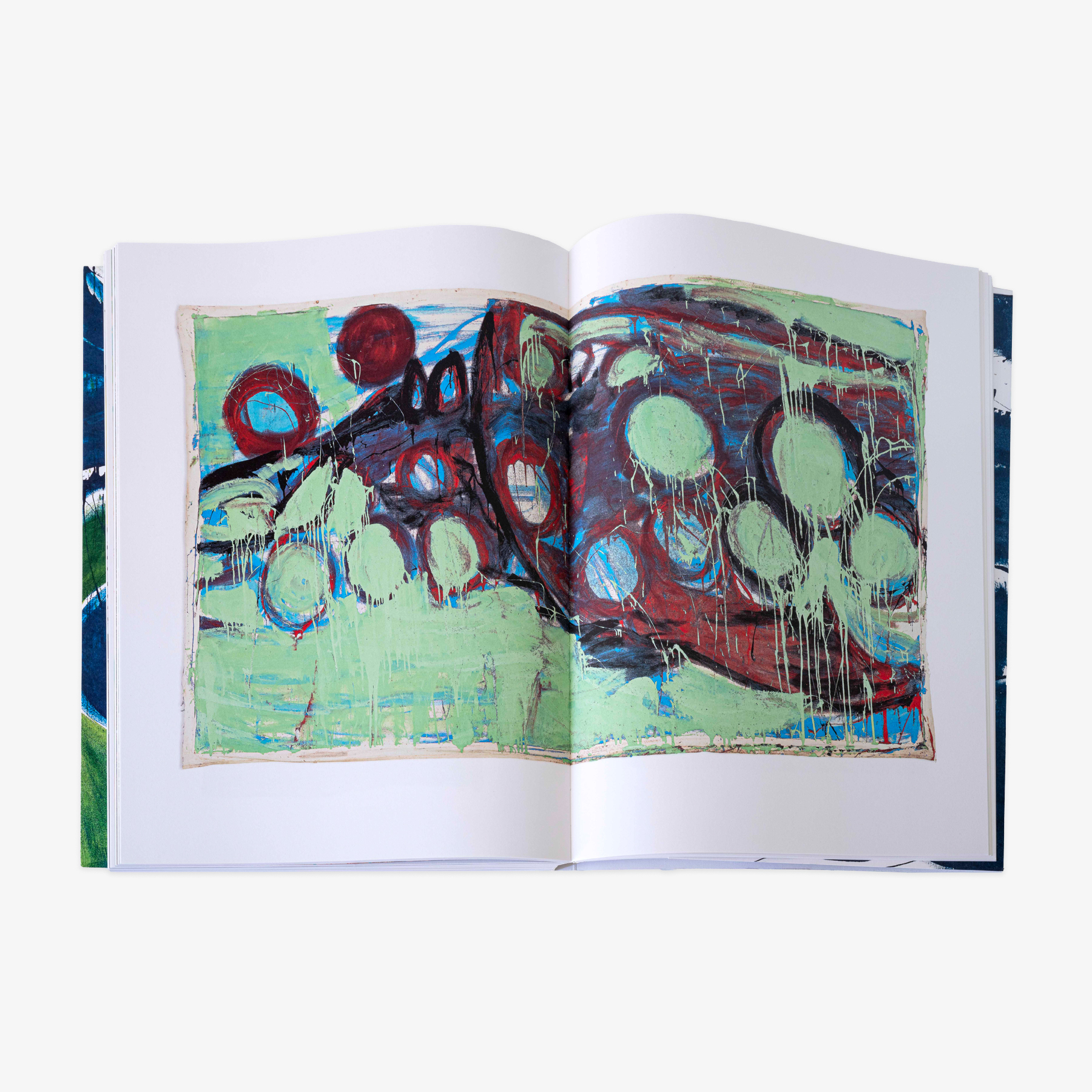 JRP_VIVIAN_SUTER_BOOK_10