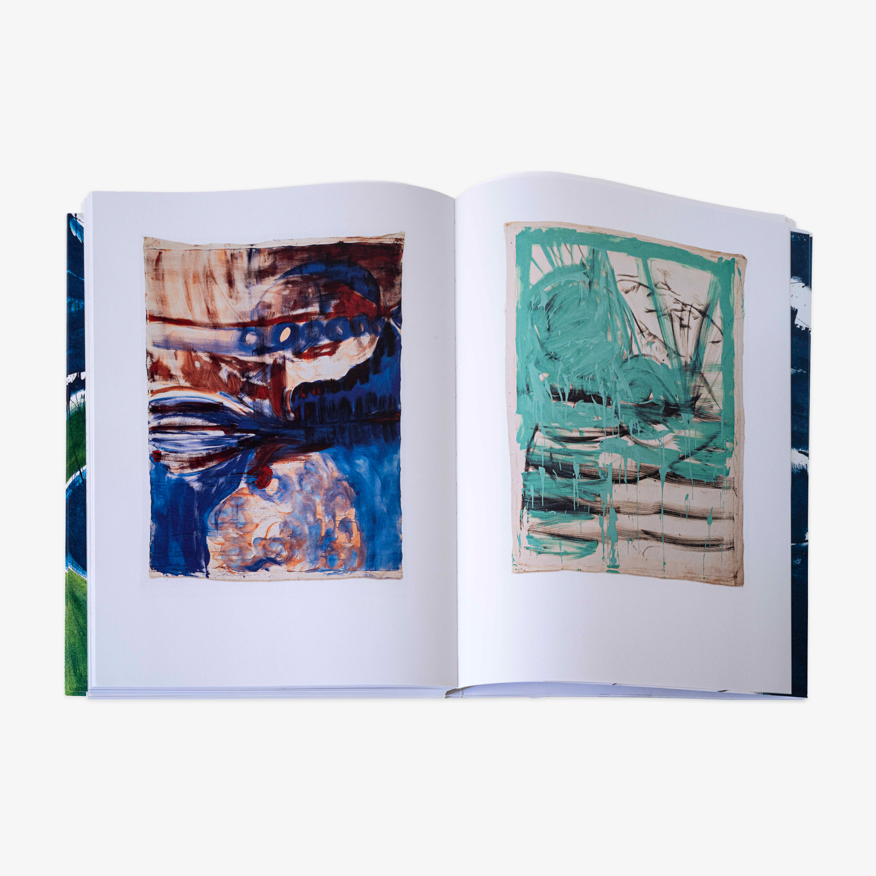 JRP_VIVIAN_SUTER_BOOK_11