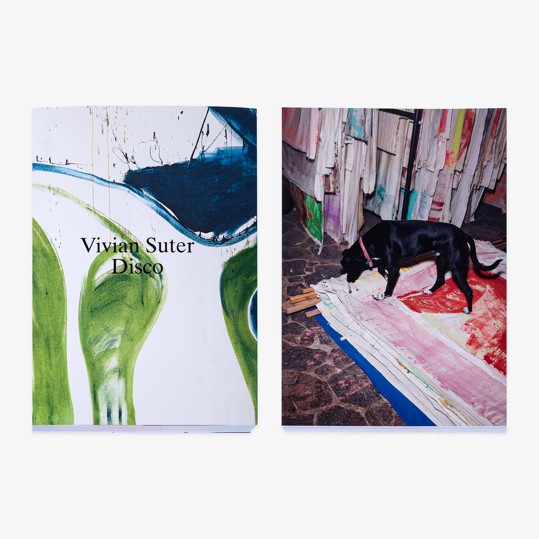 JRP_VIVIAN_SUTER_BOOK_MIX_1